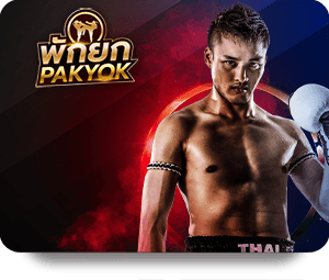 RR88 Review Chuyên Môn: User Experience and Feedback